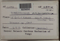 Image Associated With the Occurence